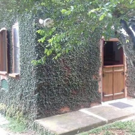 Casa Das Arvores Ubatuba Exterior photo