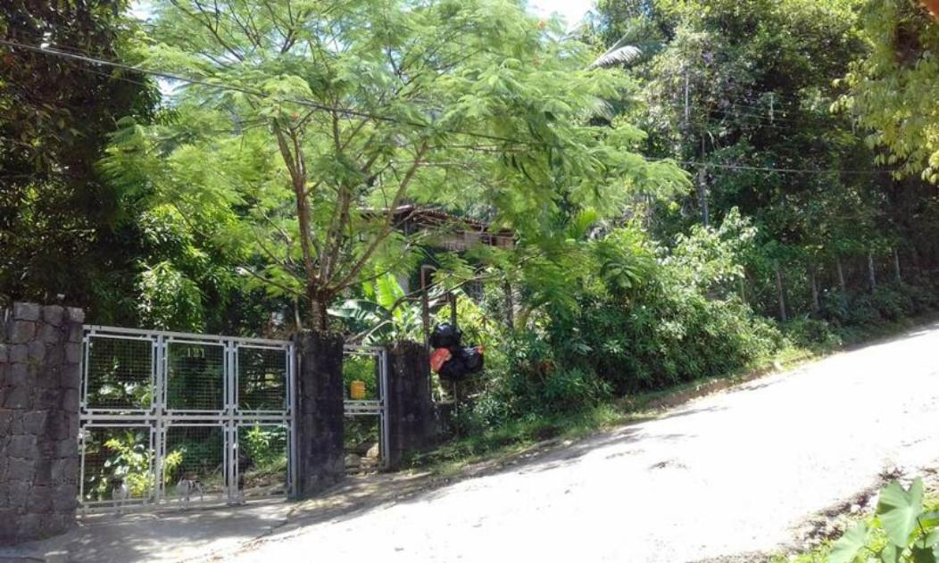 Casa Arvores